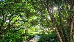 Holland Road (D10), Detached #497201491